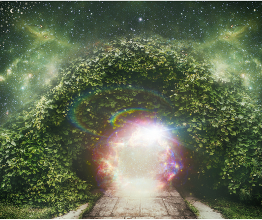 Mediumship Reading – A Connection with Spirit - 45mins